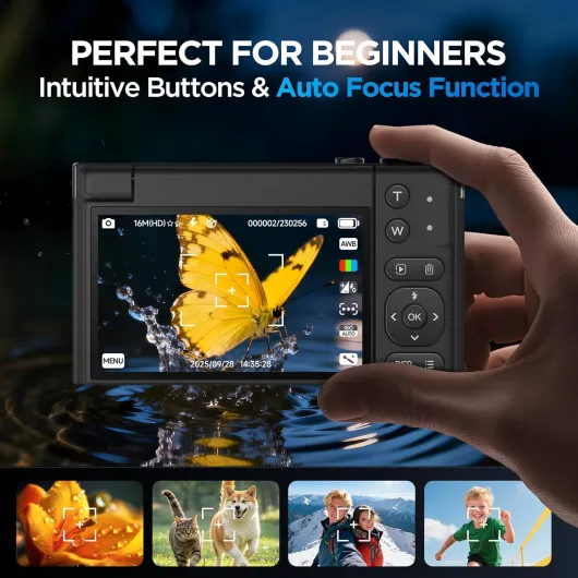 81cyjC2siWL._AC_SL1500_