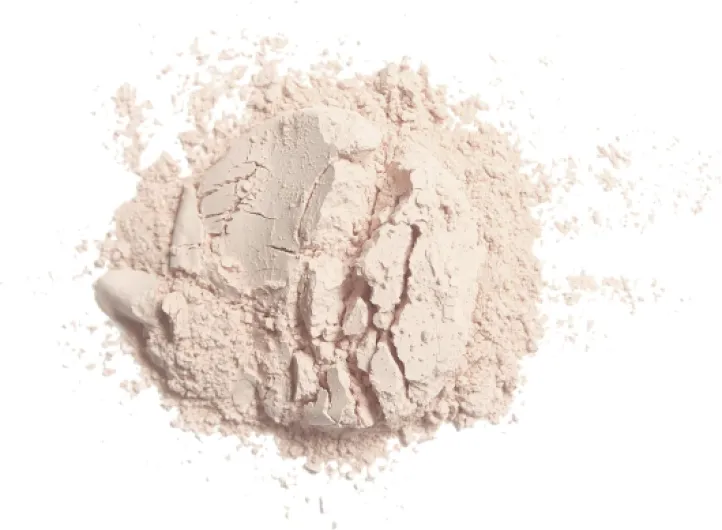 Invisible Finish Loose Powder - Poudre Libre - transparente - Poudre de riz bio & Tapioca bio - matifiante - longue durée - Végan (1 x 11g) 11 g (Lot de 1)