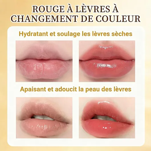 71RLIphpQGL._AC_SL1500_